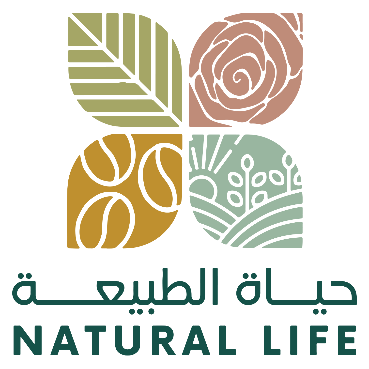 حياة الطبيعة