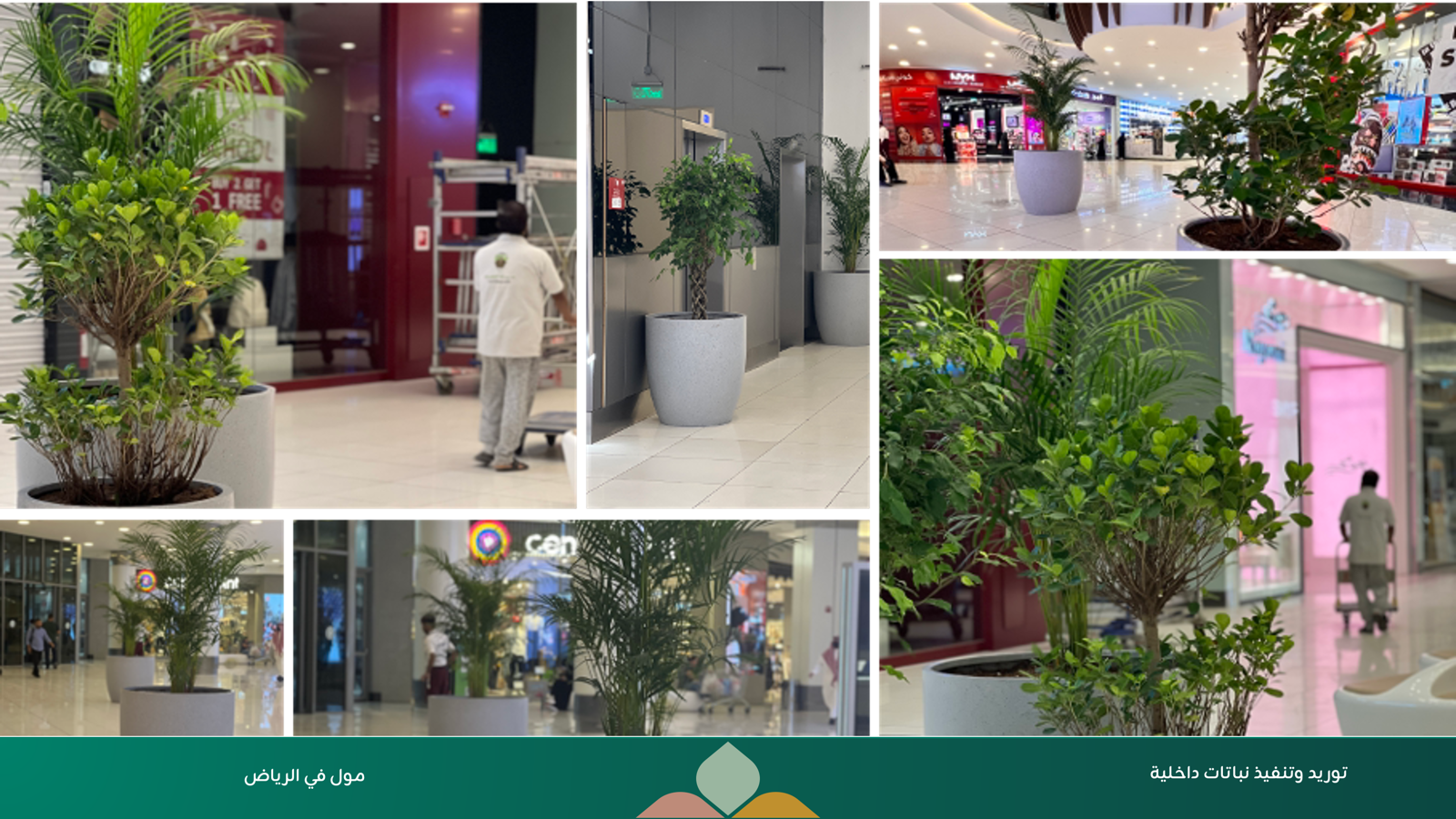 مشروع توريد وتنفيذ نباتات — مول في الرياض